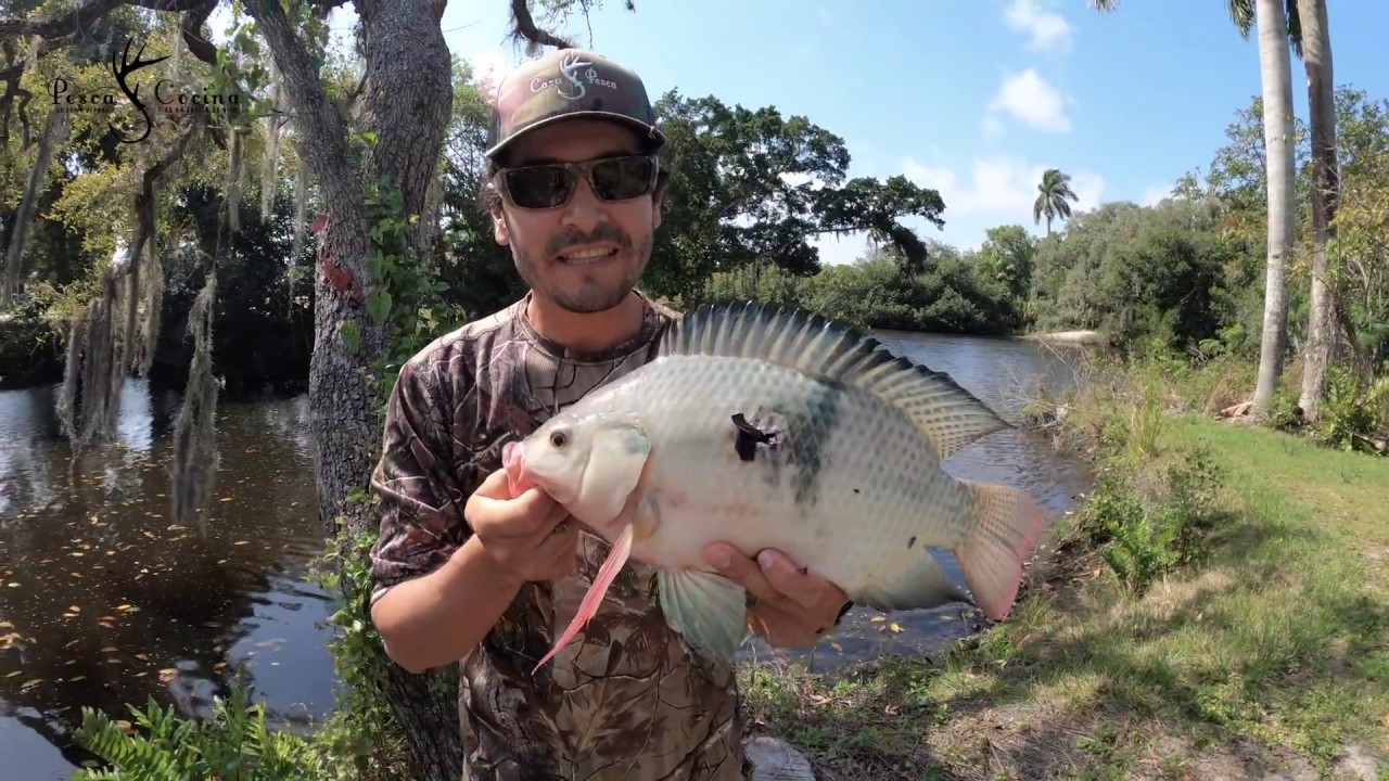 Pesca De Tilapias Con Arco Parte 2 | David Madrid