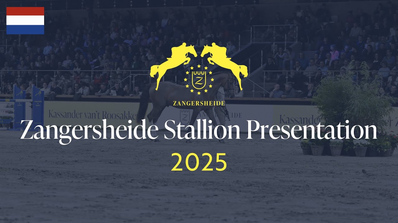 Zangersheide Stallion Presentation 2025 - NL 🇳🇱