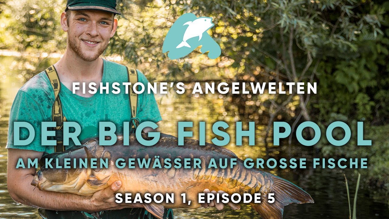 FISHSTONE's Angelwelten S1E5 – DER BIG FISH POOL Am kleinen Gewässer auf große Fische