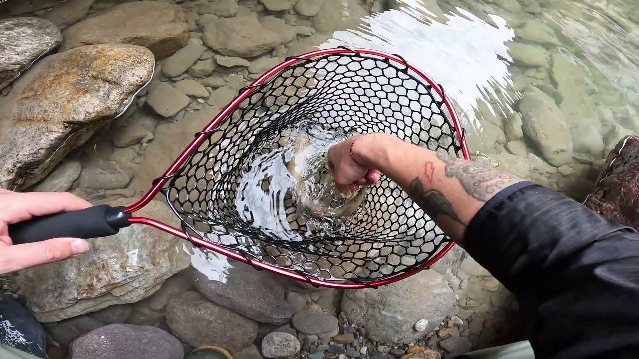 WILD BROWN TROUT ATTACK ON RUBBER NYMPH! - SPINNING ALLA TROTA SELVATICA IN TORRENTE