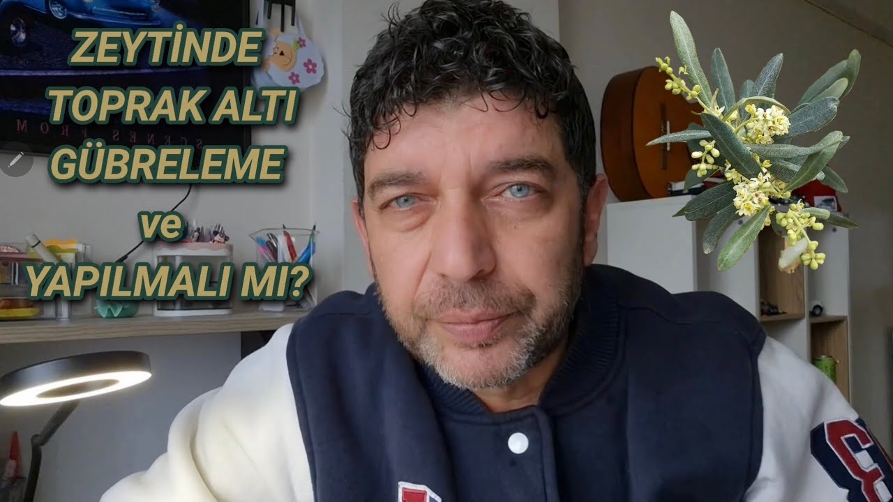 Zeytinde Toprak Altı Gübreleme ve Yapılmalı Mı?