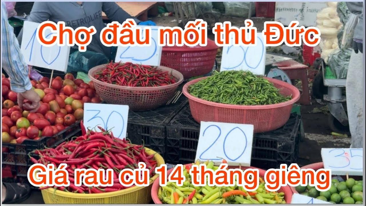 Cập Nhật giá bán lẻ rau củ chợ đầu mối thủ Đức sáng 14 tháng giêng  