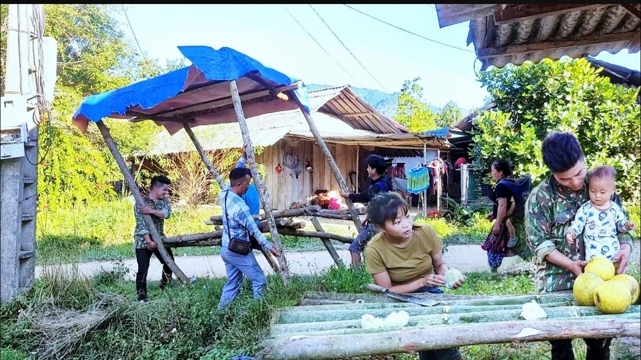 harvest grapefruit, build a hut for trading, in small rural area