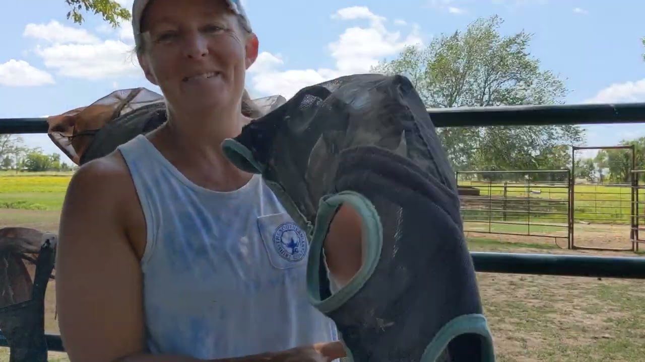 Fly masks. What's good and what's not so good?