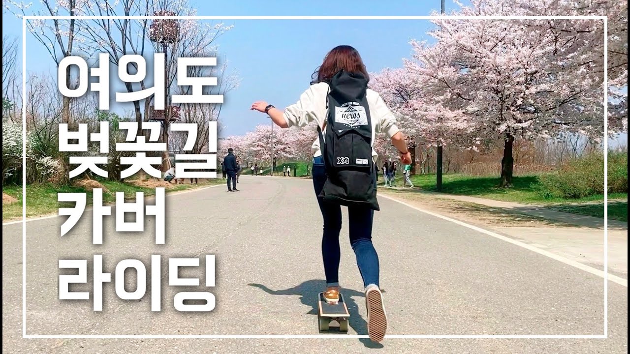 회사 점심시간에 스케이트보드 배우기 | 여의도 벚꽃길 카버 라이딩 | 랜선 벚꽃놀이 | 스케이트보드 입문 | 30대 직장인 취미 VLOG | 서핑지상연습 | 랜드서핑