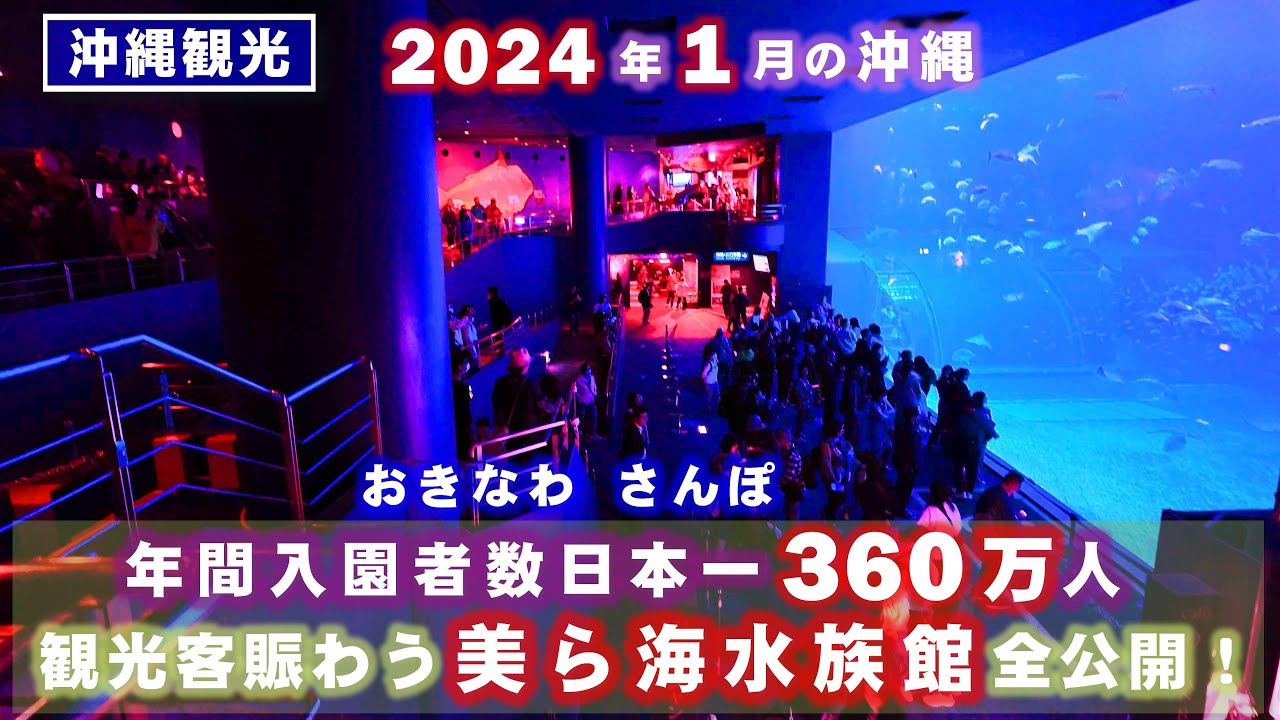 ◤沖縄観光☂雨の日もOK◢ 2024年1月､観光客で大賑わいの『美ら海水族館』♯666  沖縄旅行 おきなわさんぽ