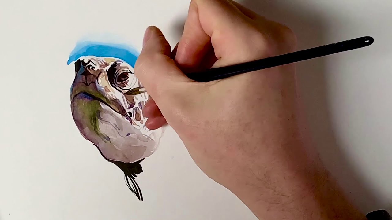 ASP: Meeresschildkröten-Special zu Kosmonautilus mit Timo Wuerz (Painting) Nessaja