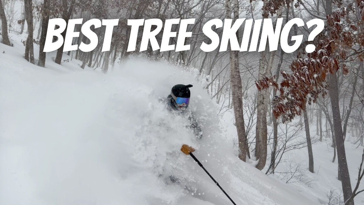 Japan’s Best Tree Skiing? | Madarao & Tangram
