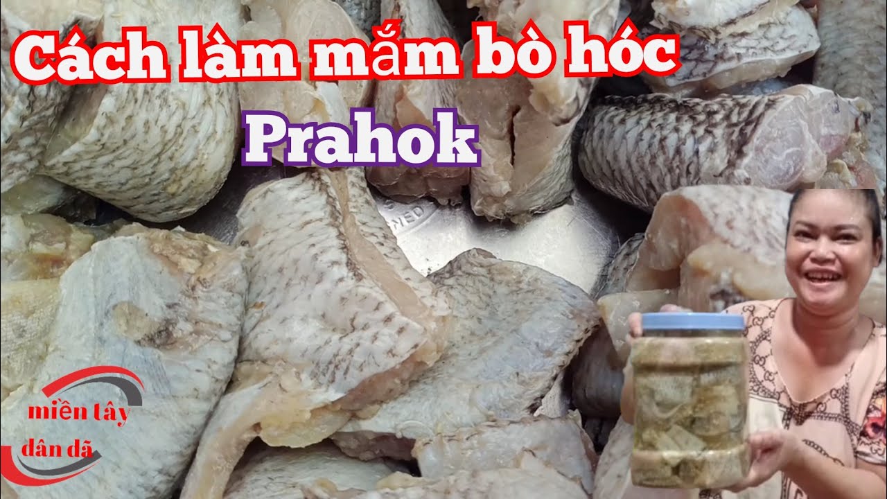 Cách làm mắm bò hóc | pò hoóc | prahok | pro hoc | miền tây dân dã | # 197