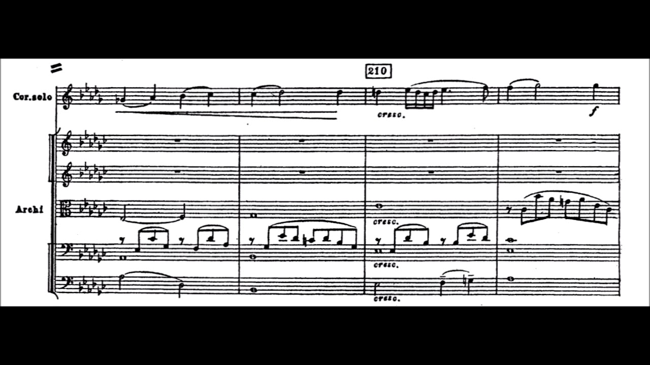 Reinhold Gliere: Horn Concerto in B flat major (with orchestral score)