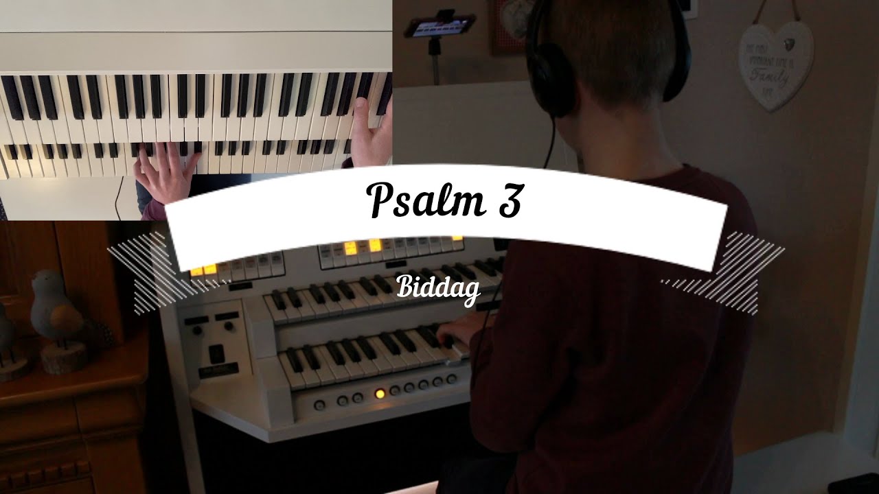 Psalm 3 (Biddag)