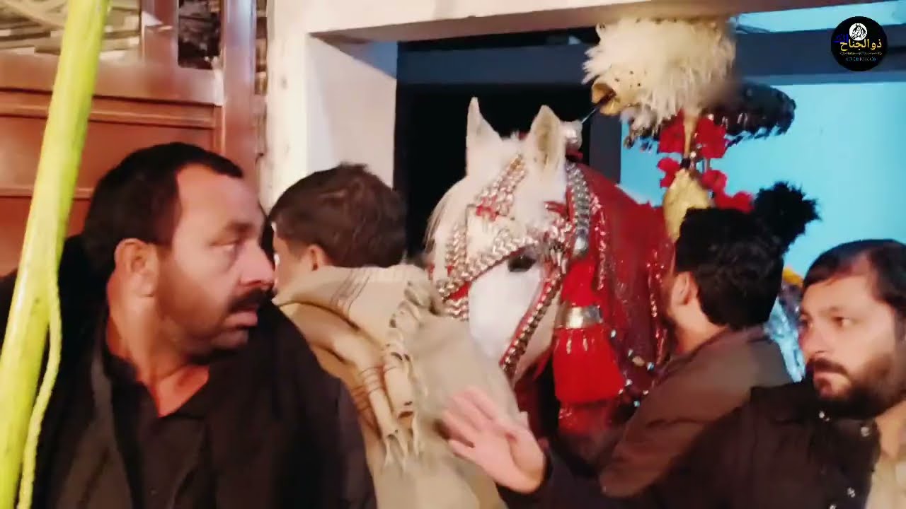 28 Rajab Zuljana shahzada Ali Akbar A.S