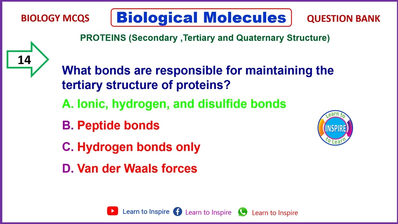 Proteins (Secondary,Tertiary and Quaternary Structure #biologicalmolecules #biologicalmoleculesmcqs