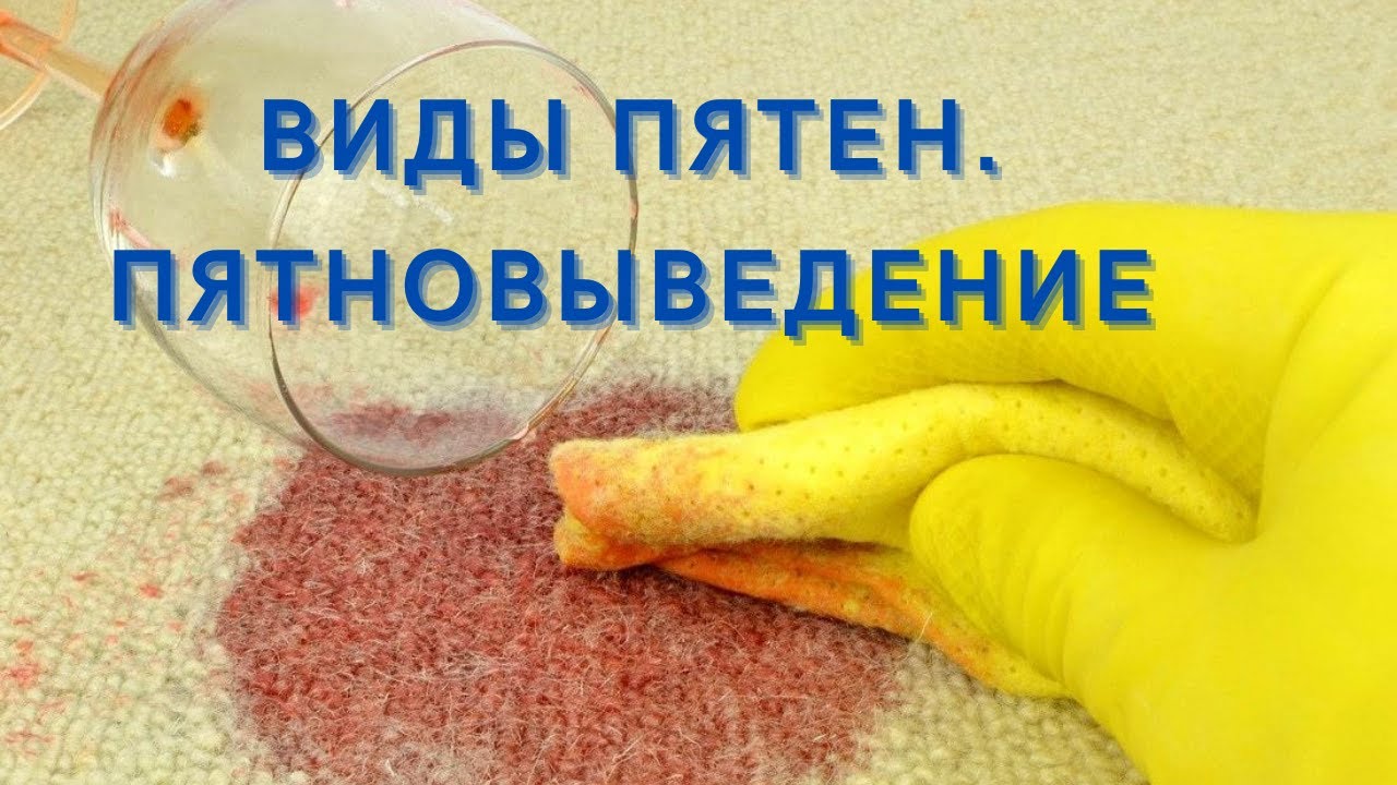Виды пятен. Пятновыведение. Основы. Где заказать химию?