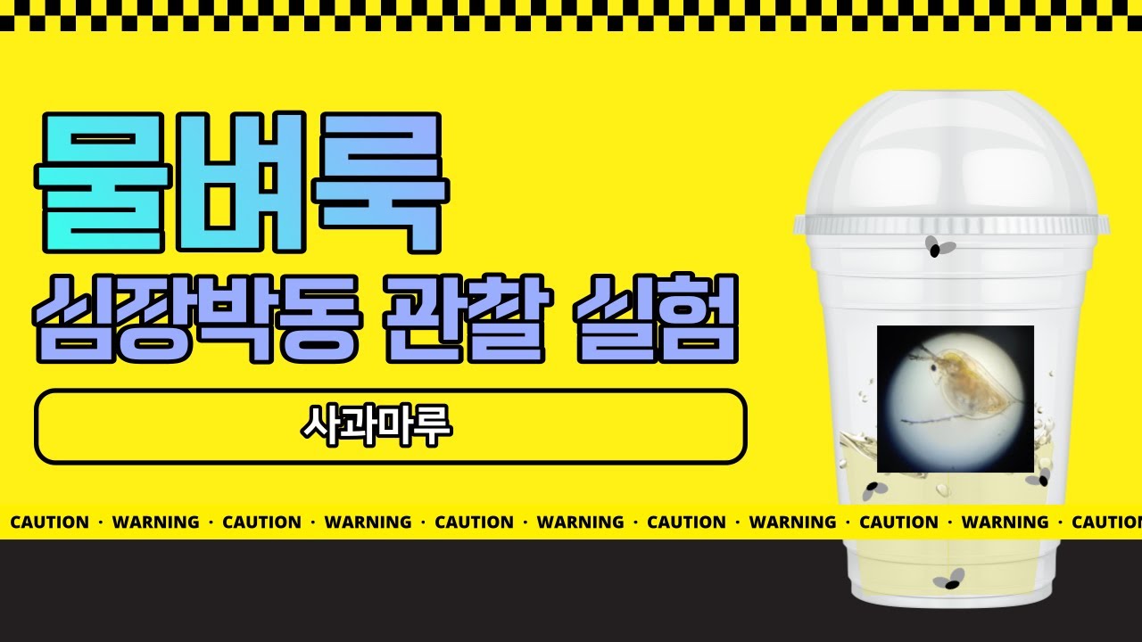 🦟물벼룩 심장박동 실험🦟 | 창원신월고등학교 과학실험 동아리 사과마루