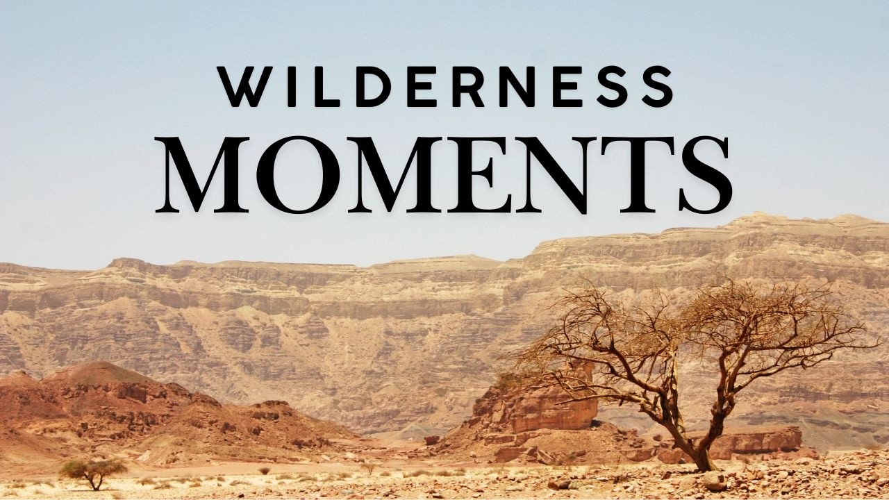 Wilderness Moments