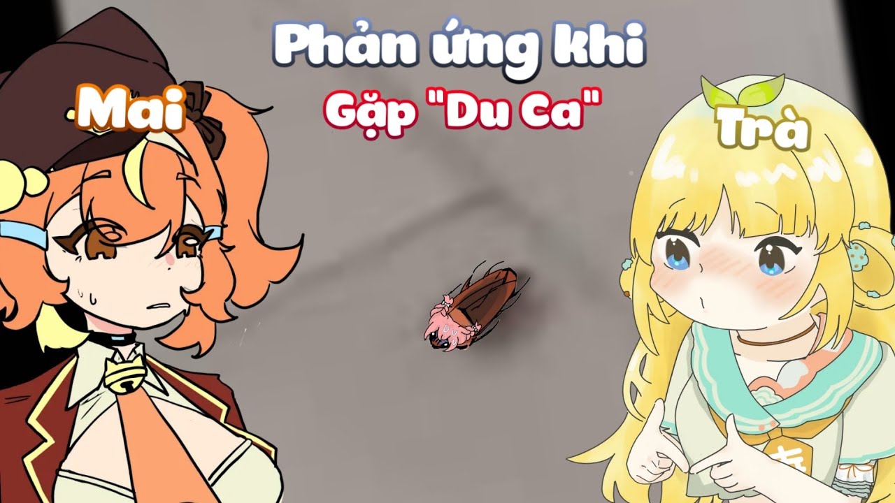 Phản ứng giữa Tr&agrave; v&agrave; Mai khi gặp 