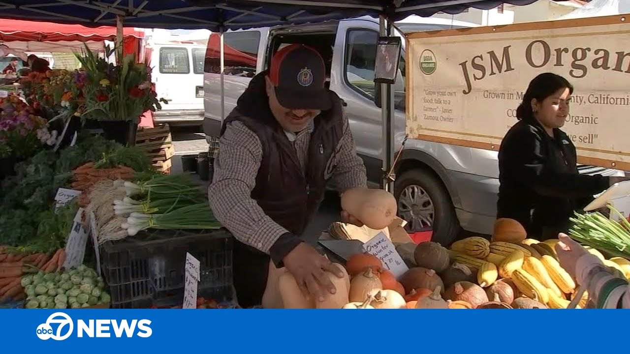 Bay Area farmers' market vendors struggle to recover profits epic winter storms