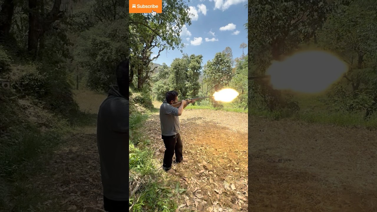 Shotgun & blank cartridge test fire, ejector check of 12 bore sujata arms schnauzer #reload #pewpew