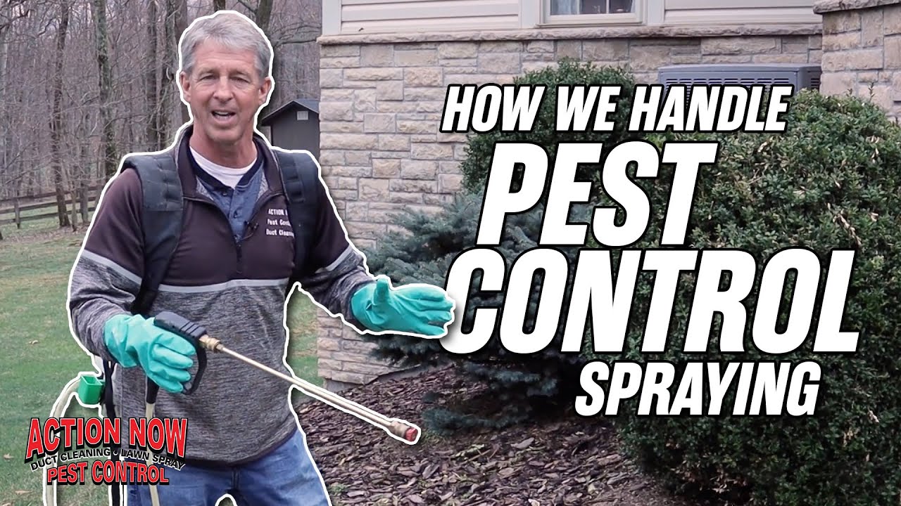 How We Handle Pest Control Spraying