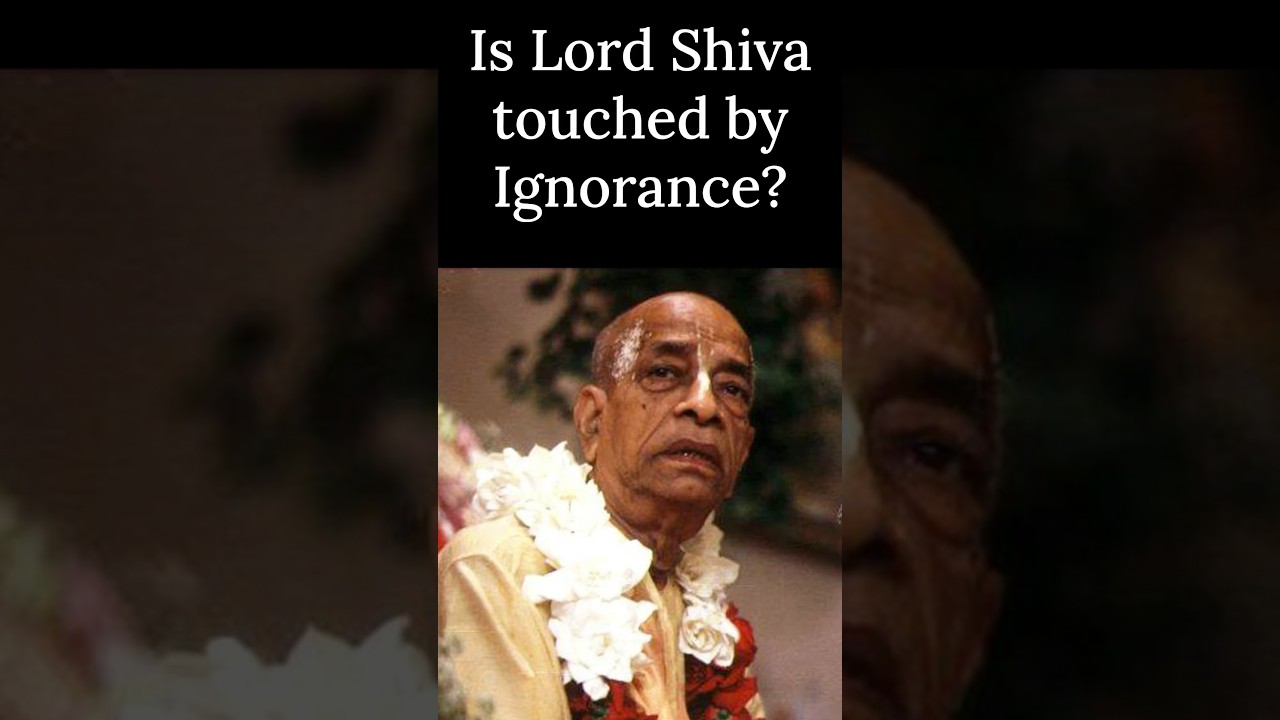Is Lord Shiva Tamasic? | Prabhupada Shorts Lectures Bhagavatam Gita #prabhupadavani