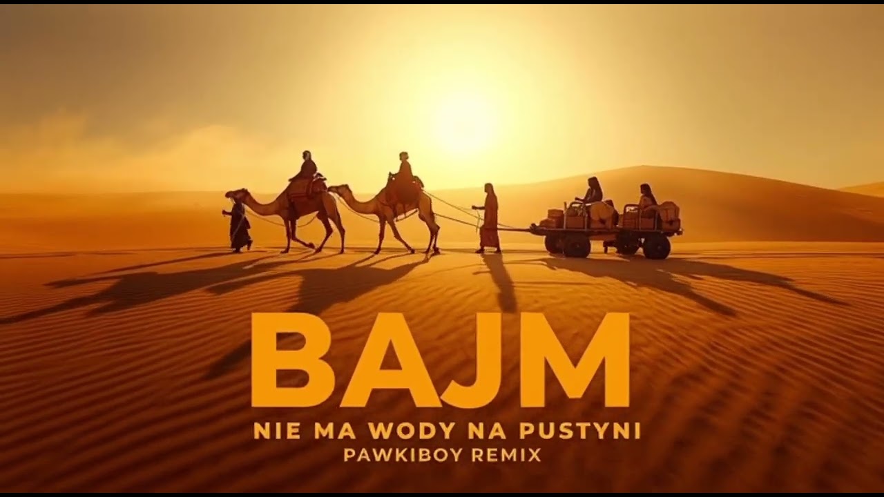 Bajm - Nie ma wody na pustyni (EDM remix) | Pawkiboy