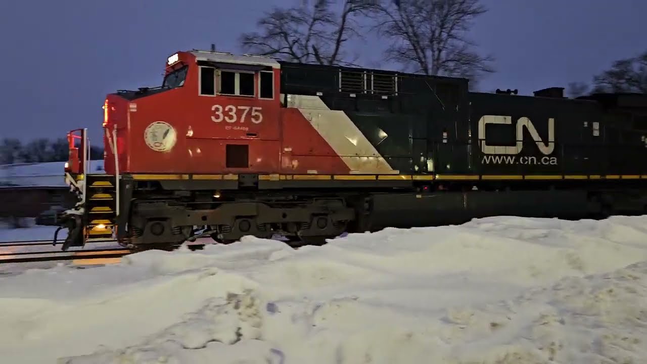 CN M397
