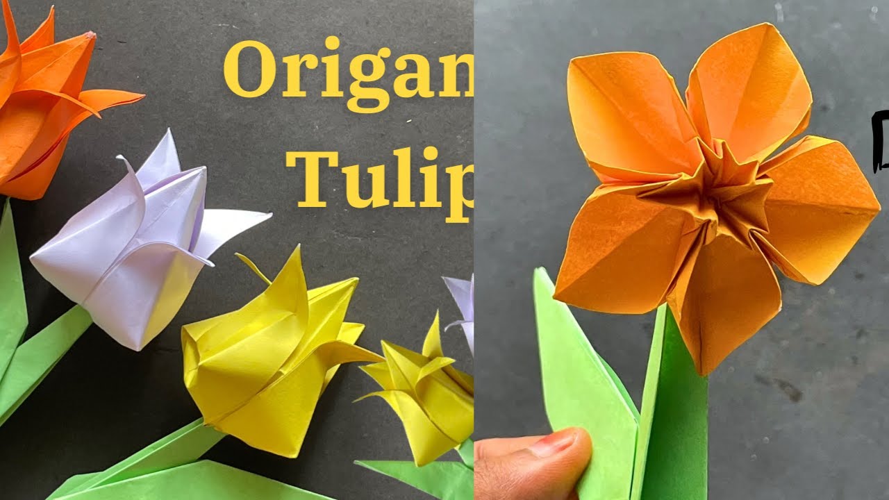 Origami Flower- Tulip, Daffodil, Narcissus, (Paper Flower) - Easy Paper Tulip Origami Flower