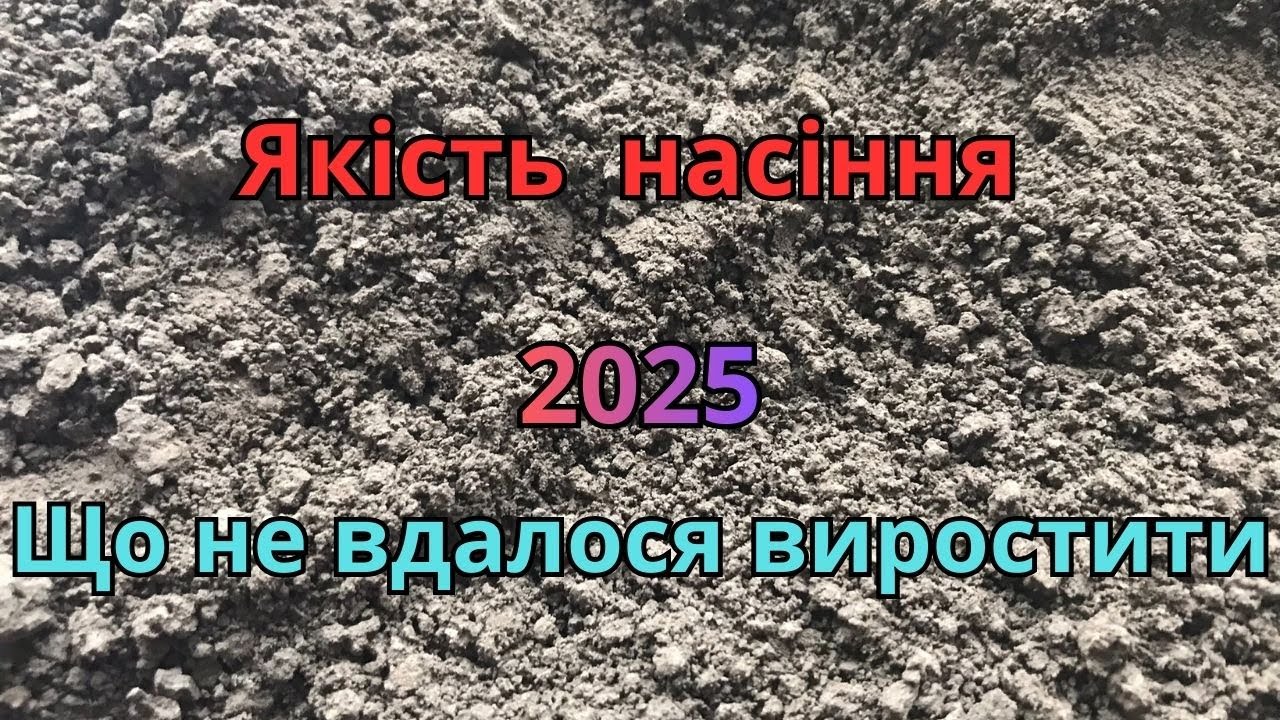 Якість насіння.  Що не вдалося виростити в 2025 році.