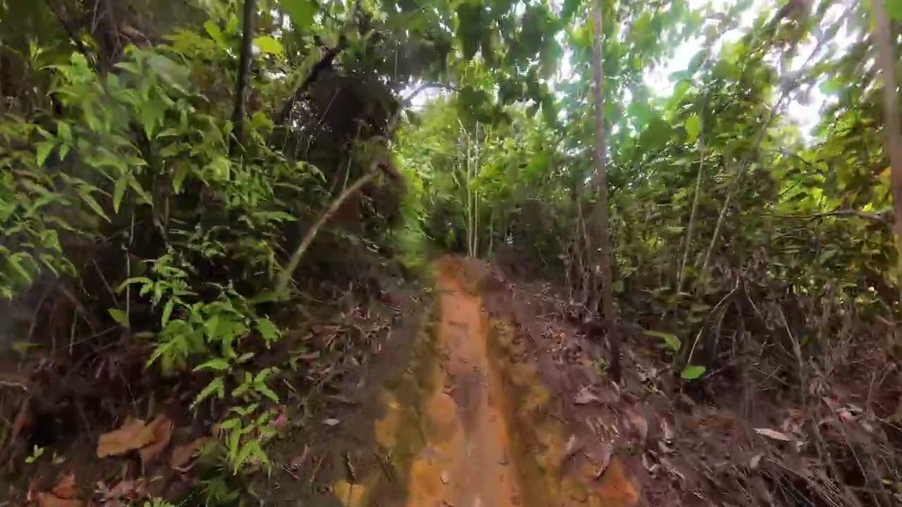 BeeTee Ride,27th Dec’25