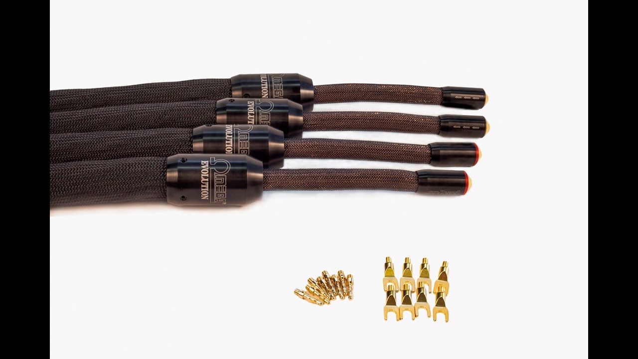TARA Labs Omega Evolution Speaker Cables