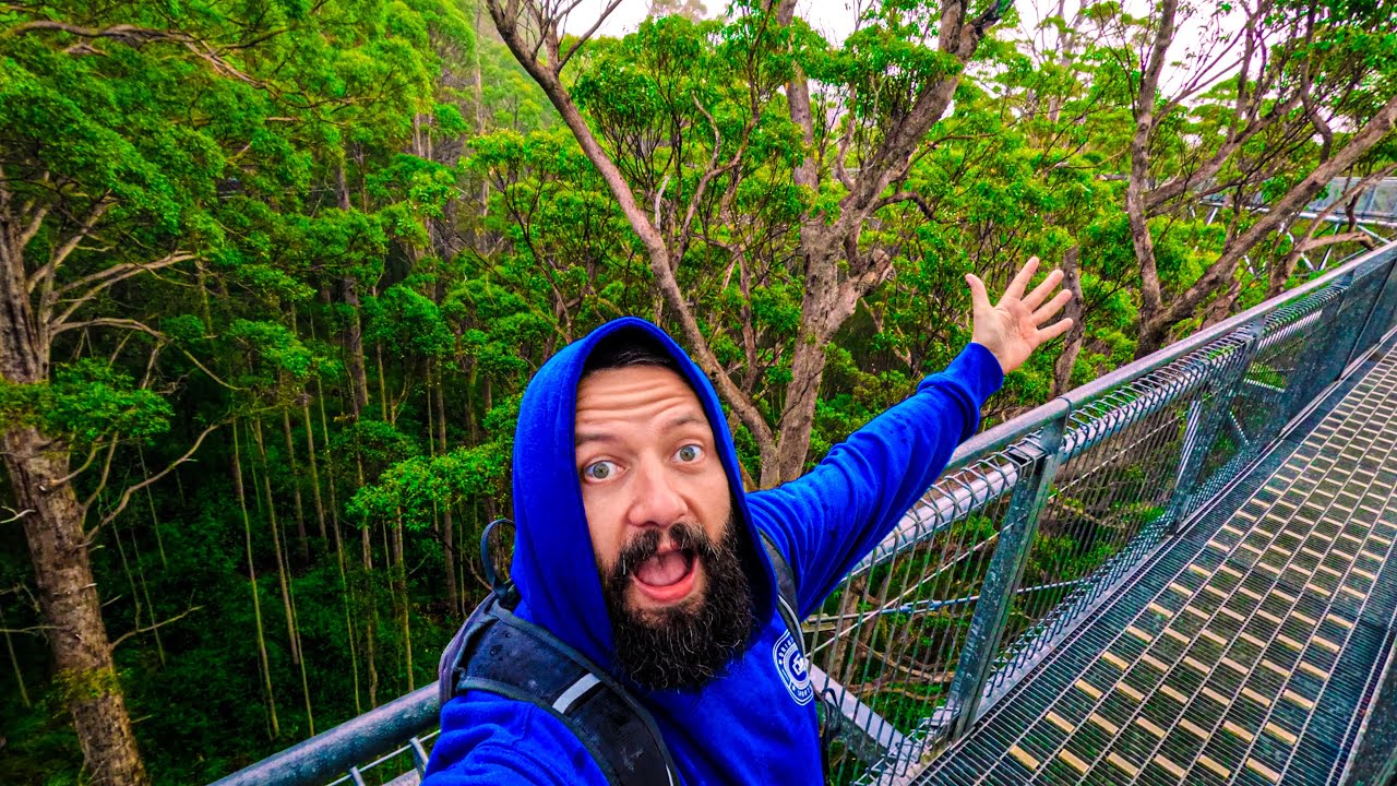 Walpole's Secret Coalmine Beach & Epic Treetop Walk