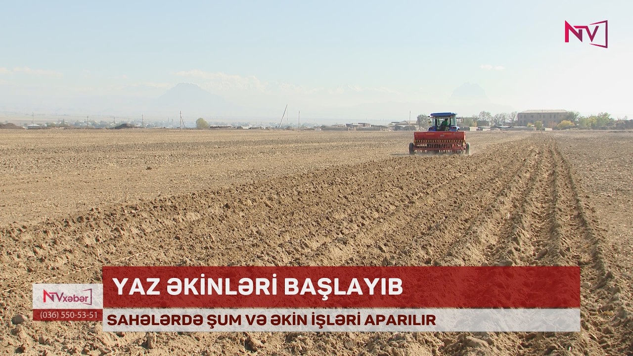 NAXÇIVANDA YAZ ƏKİNLƏRİ BAŞLAYIB
