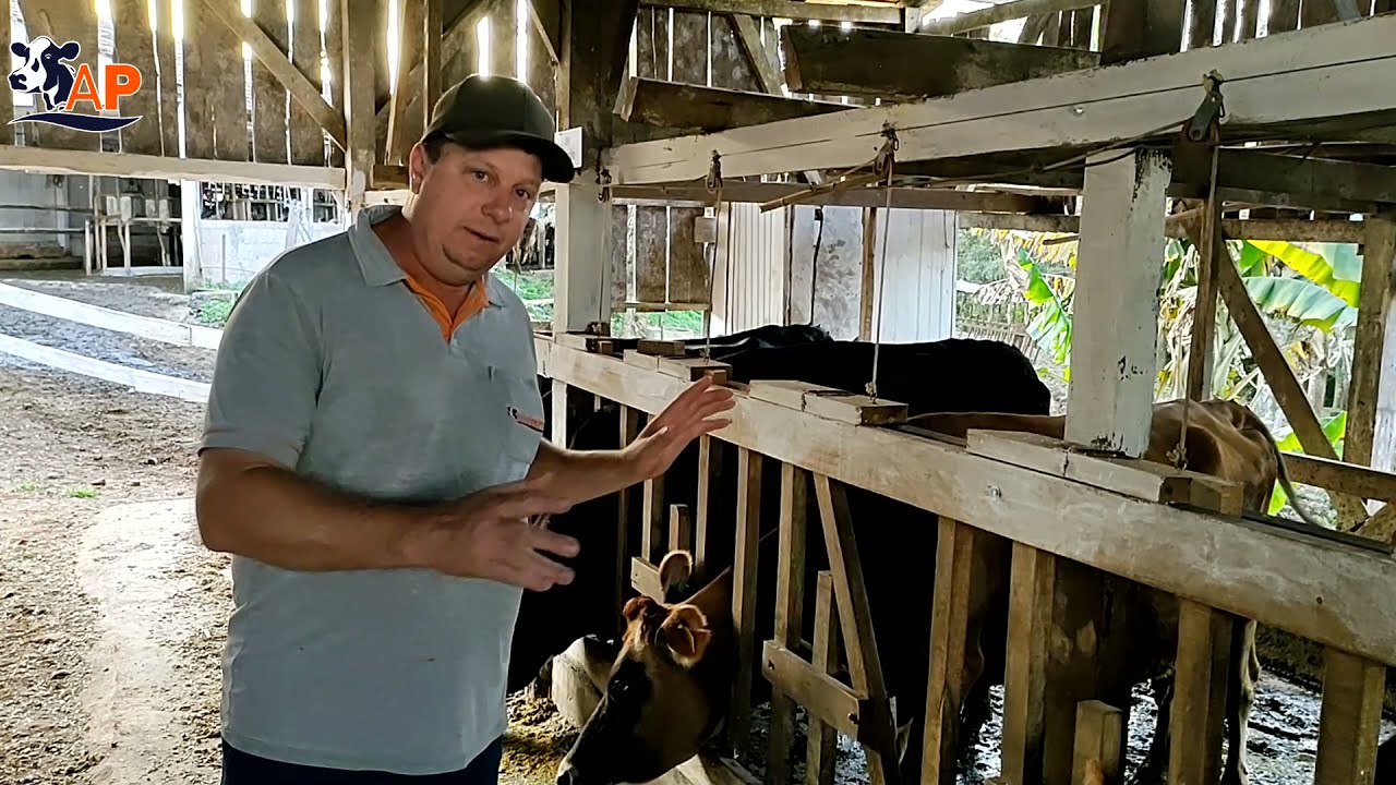 Ideia de Abrir Canzil de Madeira com Catraca - Agro Peperi