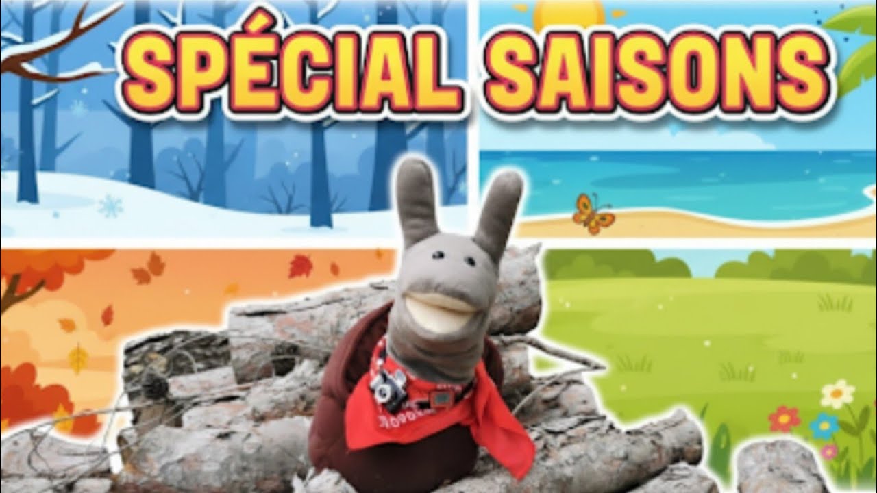 Découvre les 4 saisons avec Charly l’Escargot 🌸☀️🍂❄️ 🐌(Vidéo maternelle)#enfants 