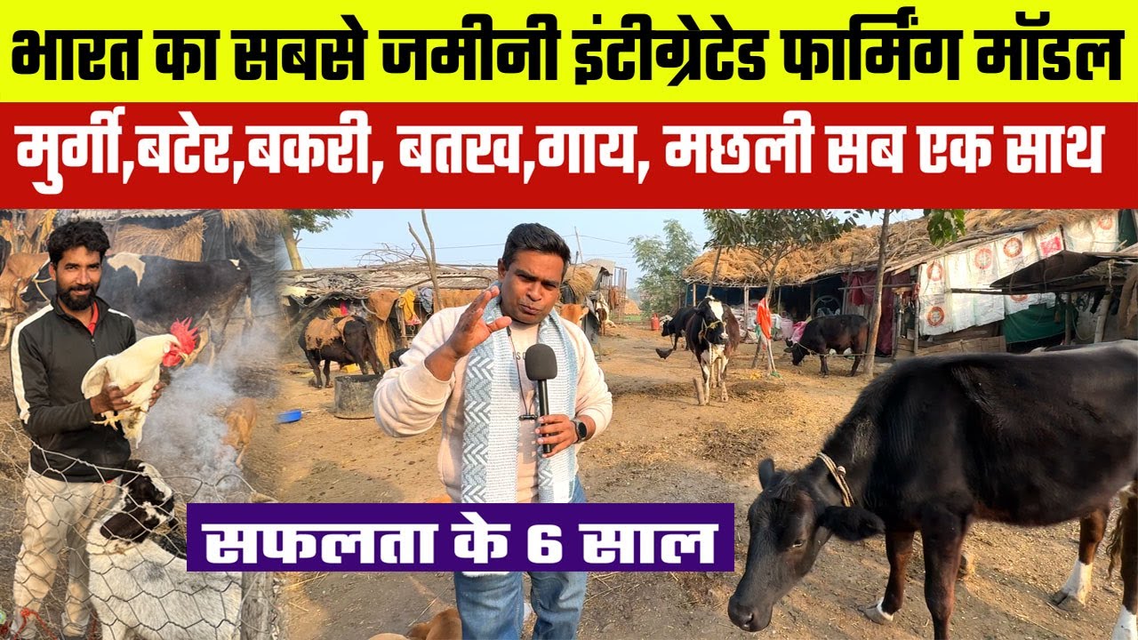 NALANDA में INDIA का सबसे अनोखा Integrated Farming Model😲मुर्गी,बटेर,बकरी,बतख,गाय,हंस मछली सब एक साथ