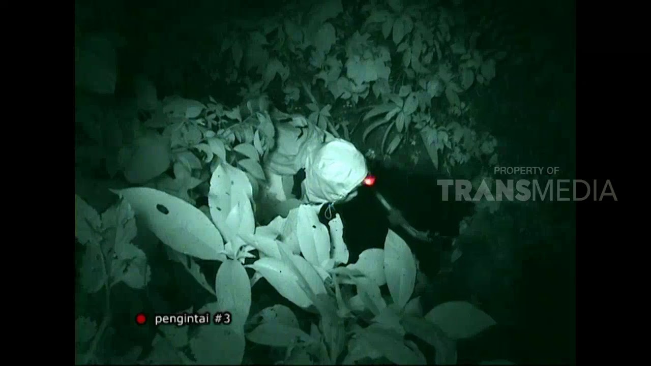 JEJAK-JEJAK MISTERIUS | PERBURUAN MANUSIA GUNUNG (18/11/17) 3 - 2