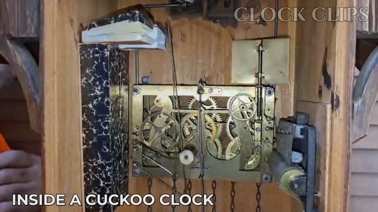 Inside a Cuckoo Clock During the Chime