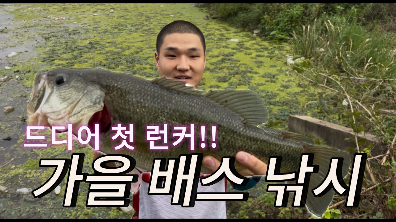 가을배스 기대안하고 있었는데 괴물배스가?!