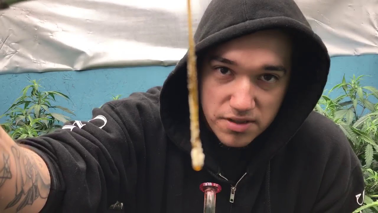 SNAKE DAB for top ten dabs of the week!