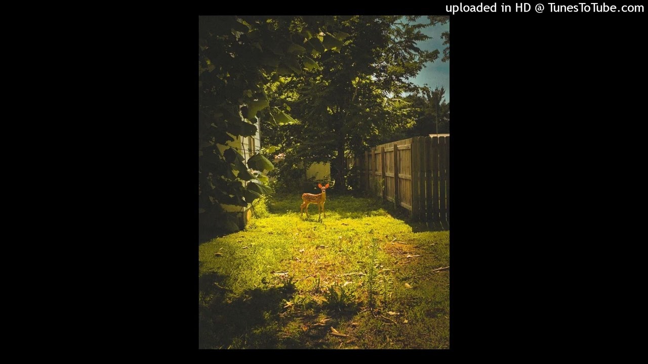 clams casino + untiljapan type beat 