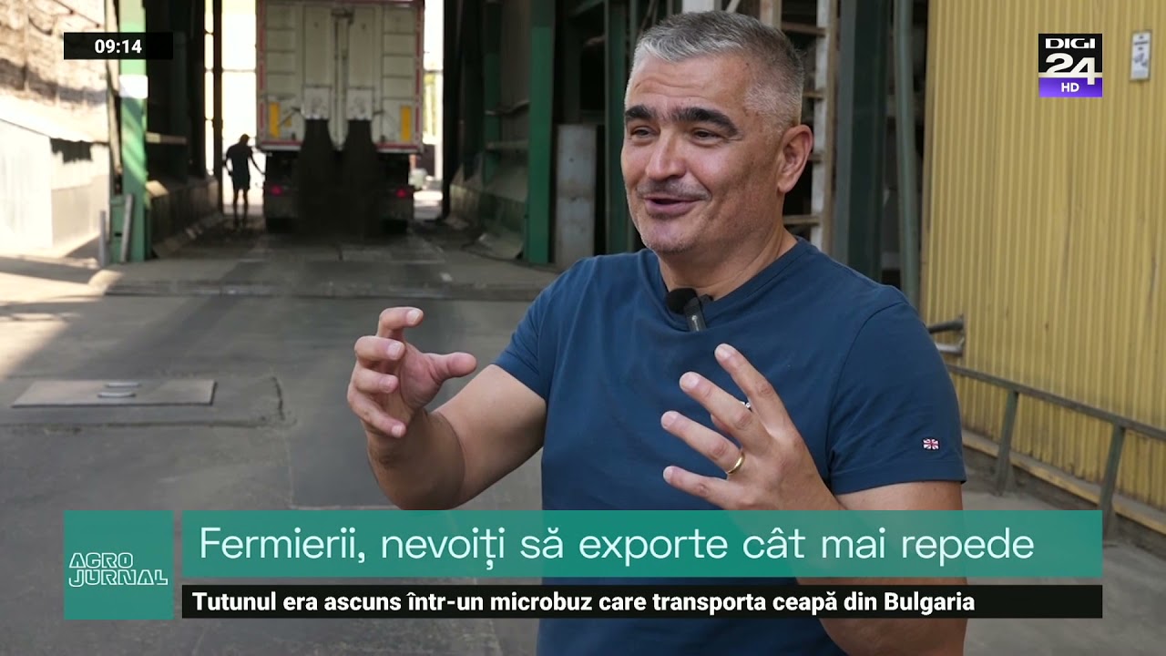 Momentul recoltei în Insula Mare a Brăilei. De la semințe, la ulei de floarea soarelui. #Digi24