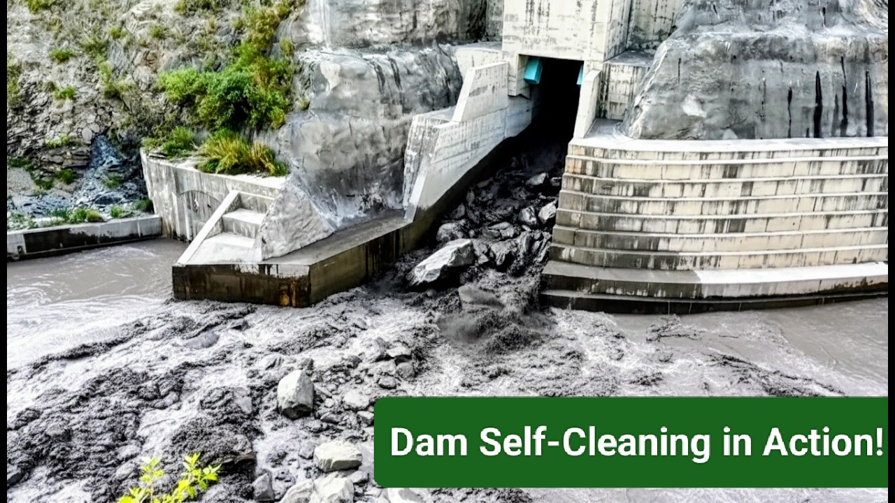 Massive Sediment Flushing Through Bypass Tunnel