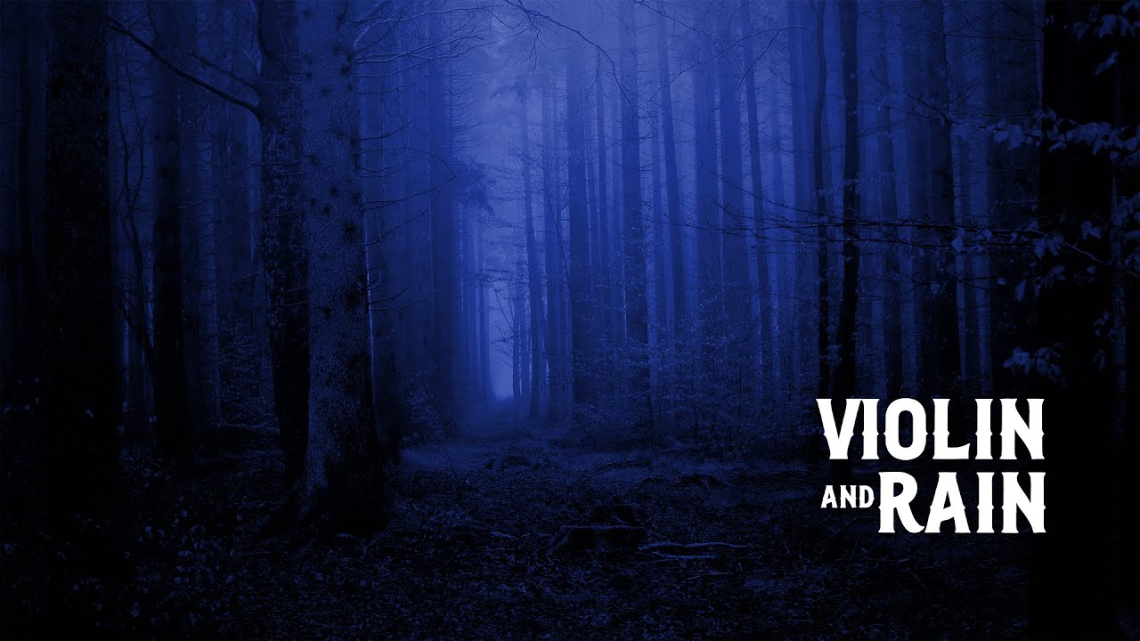 Ambience and Music with violin and rain |  accompanied by ambient music #ambience  #rain #violin