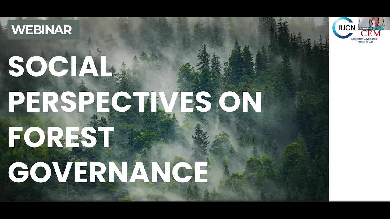 Social Perspectives on Forest Governance - Ecosystem Governance Thematic Group