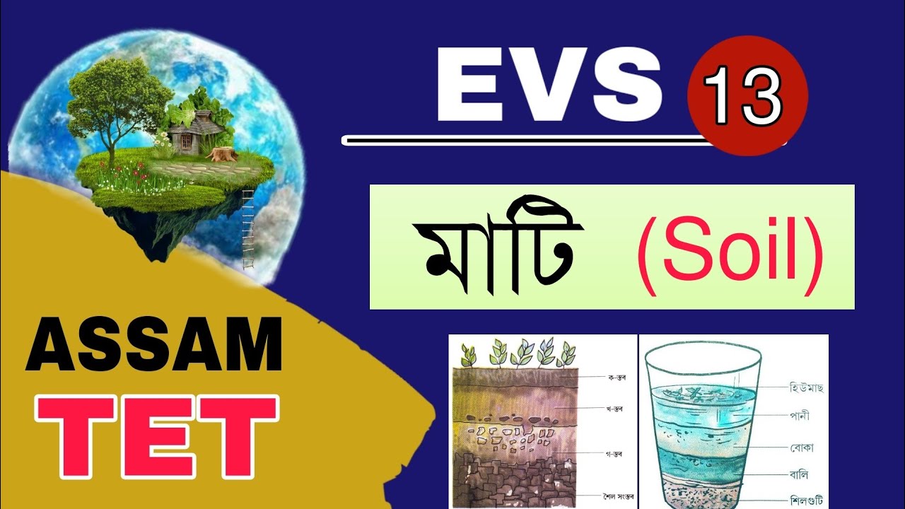 Assam TET 2021 || Soil- Importance, Types, Erosion || Environmental Studies || Video 13