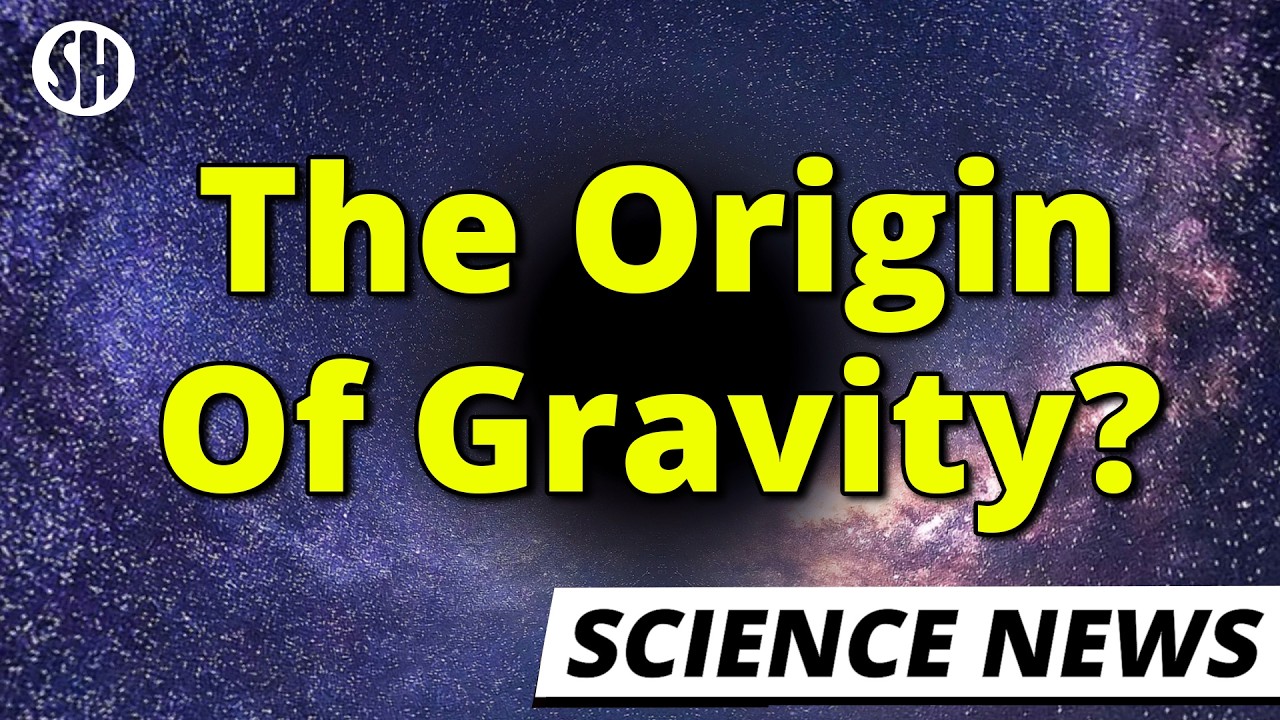 Physicists Say They Know the Origin of Gravity