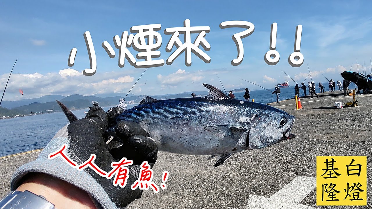 週末難得遇上大咬盛況，爽釣一波人人有魚! 小煙仔回來了!! #LPGM5 #基隆白燈 #路亞岸拋 #花煙 #大咬