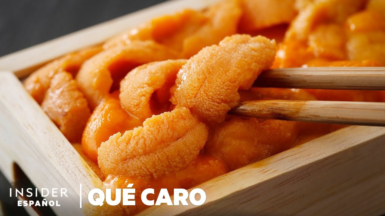 Por qué los erizos de mar son tan caros | Qué caro | Insider Español