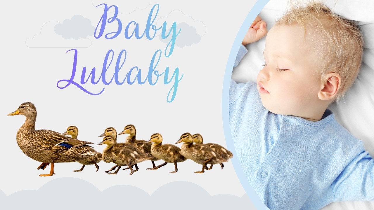 Duck Lullaby Music Video